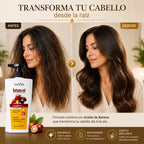 Batana Oil Shampoo — Champú Purificante con Aceite de Batana 400ml